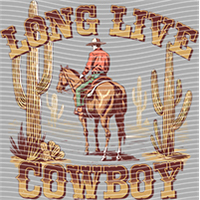 Country music-CM-342